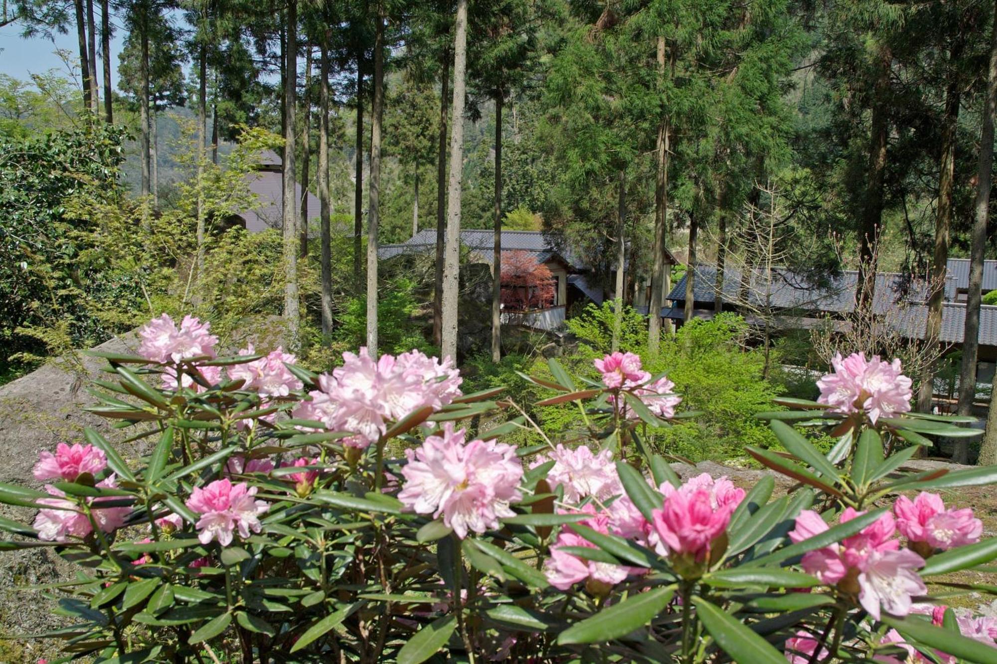 Auberge Funoki Nakatsu المظهر الخارجي الصورة