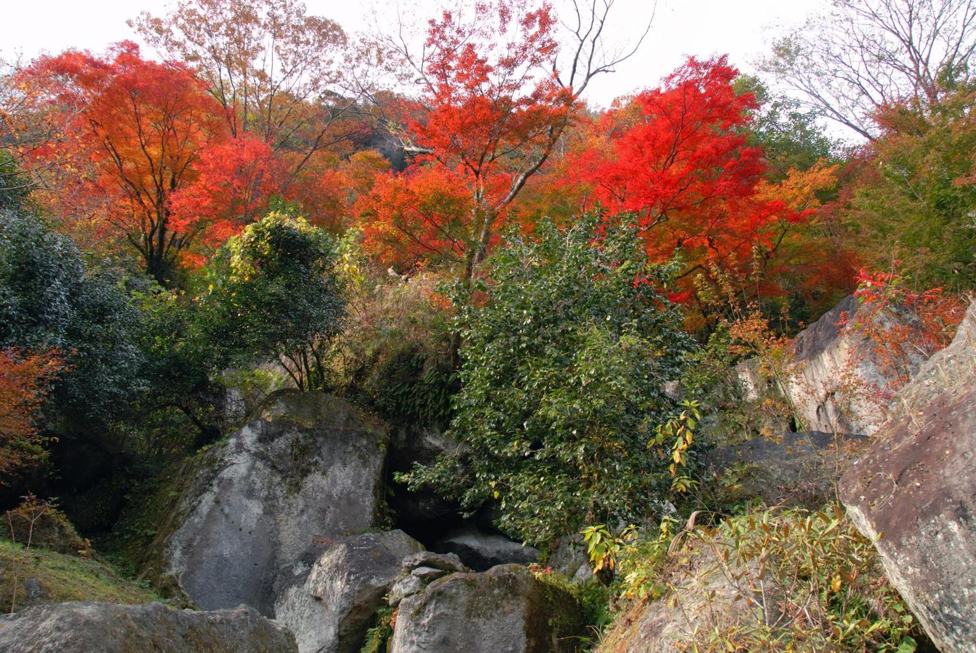 Auberge Funoki Nakatsu المظهر الخارجي الصورة