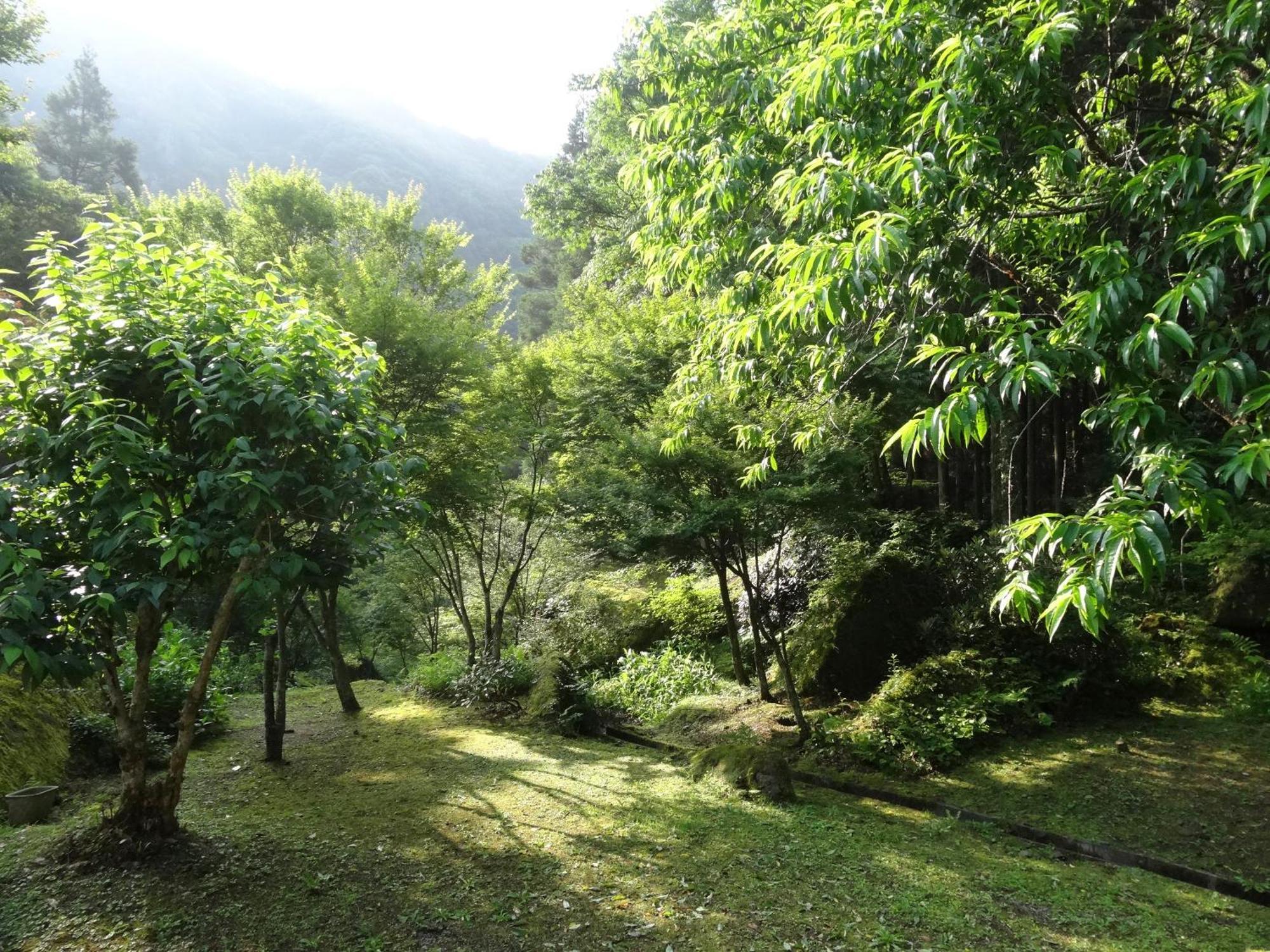 Auberge Funoki Nakatsu المظهر الخارجي الصورة
